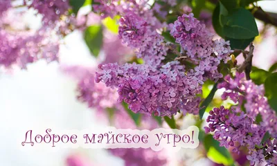 🤍 ТАНЯ ВАРАВА 🤍༻꧂ on Instagram: \"Доброе майское утро! 🌸💚🎶 Обожаю это  прекрасное место в моем дворе! 🥰 Наслаждаюсь кофе ☕️, книгами📚, ароматом  цветущих растений 🌸 и пением птиц🎶🐤 . . #жизнь  #красота#счастьевмелочах#beauty#sweethome#may ...