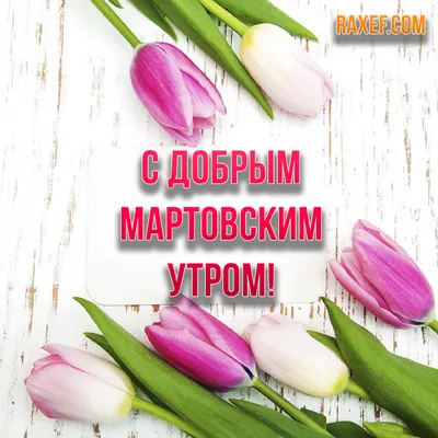 Картинка: Доброго мартовского утра!