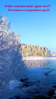 Зимние открытки \"Доброго утра!\" (236 шт.)