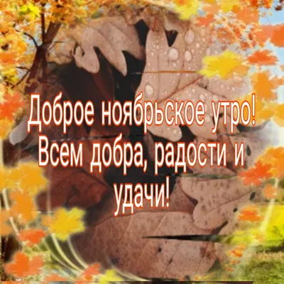 ДОБРОЕ НОЯБРЬСКОЕ УТРО!УДАЧИ ВСЕМ!#домтамгдепиала# | TikTok