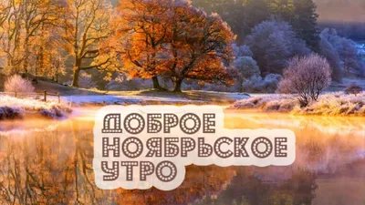 Доброе ноябрьское утро | Доброе утро, Радость, Удача