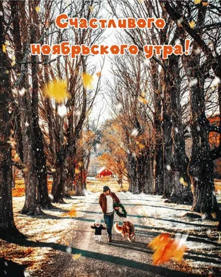 С добрым ноябрьским утром🍂🍁🍂 | Осень, Доброе утро, Волшебные создания