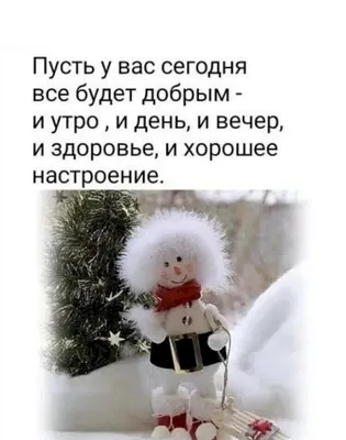 Всем доброго, ноябрьского утра! Прекрасного настроения! ♥️🕊🙏#Сбереги... |  TikTok