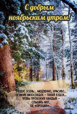 С добрым ноябрьским утром🍂 | Осенний пейзаж, Пейзажи, Живописные пейзажи