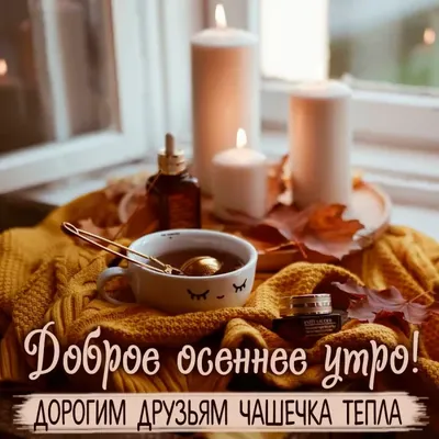 🌞 С добрым осенним утром! 🍁 | Поздравления, пожелания, открытки с Новым  годом! | ВКонтакте