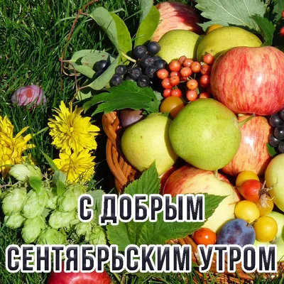 Пусть оно просто будет... Лишь тебе принадлежащее пространство, в котором  можно укрыться от потрясений, переждать дожди.. | ВКонтакте