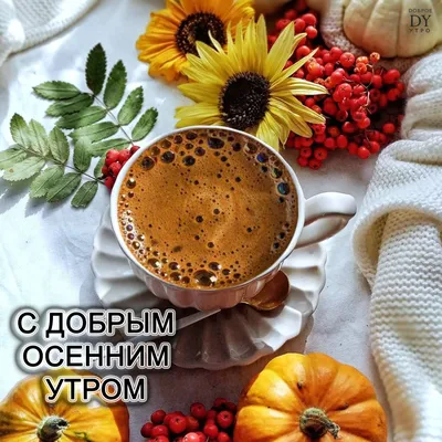 Картинки доброе сентябрьское утро (103 шт.)