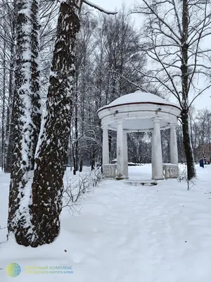 Доброе, снежное утро ❄️☕️❄️ Листая сейчас ленту Инстаграм показал мне  сначала позавчерашние фотографии, потом вчерашние ( это всё я уже отл… |  Чашка кофе, Чай, Кофе