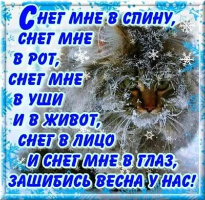 Хәерле иртә, Балтачым! Доброе утро, Балтаси!❤️ 🗓 Сегодня 16 апреля,  суббота. ☀️ За окном -1'С, днем до +3'С, вечером до 0'С, переменная… |  Instagram