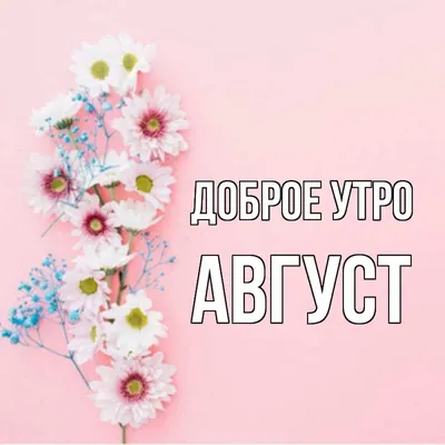 Доброе утро! Август..., а скоро уж осень.