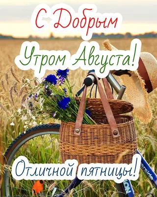 Пин от пользователя Валентина Лютвинская на доске 2 Августа | Открытки, Доброе  утро, Благодарственные открытки