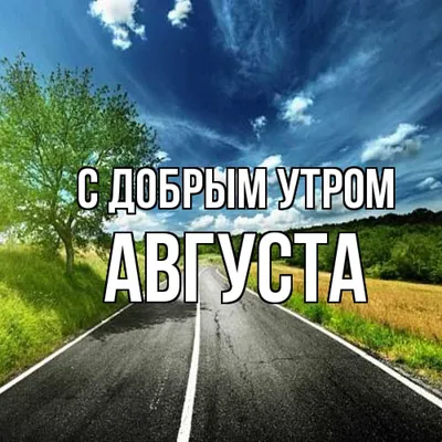 Доброе утро 🌿 Август вносит свои коррективы и решил под конец лета нас  порадовать теплом😻 Тем временем, в августе больше нет мест на… | Instagram