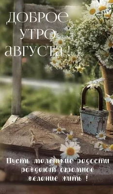 ВОТ И АВГУСТ!... С ДОБРЫМ УТРОМ, МОИ... - Вдохновение ДУШИ | Facebook