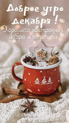 🎅 С ДОБРЫМ УТРОМ, ДРУЗЬЯ! 🎅 Пусть утро это декабря, Тебе подарит  наслаждение, Проснешься.. | ВКонтакте