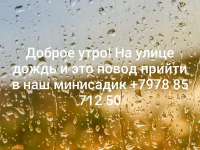 Доброе утро, утро, дождь эстетика, дождливое утро | Дождливое утро, Шаблоны  тегов, Дневные цитаты