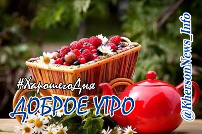 Доброе утро, друзья! Ну что, по кофейку и в новый день? Всем мира и  благополучия - Лента новостей Херсона