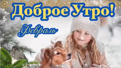 Доброе утро | Доброе утро, Модная фотография на природе, Веселые картинки