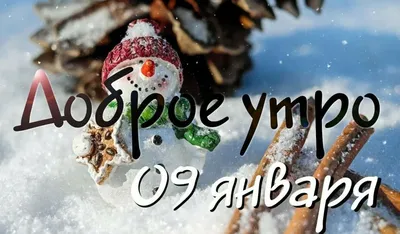 ЛЁГКОГО ПОНЕДЕЛЬНИКА! 26 ДЕКАБРЯ. #сдобрымутром_хорошегодня #сдобрымут... |  TikTok