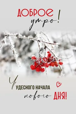 🎅 С ДОБРЫМ УТРОМ, ДРУЗЬЯ! 🎅 Сегодня утро декабря, Я доброе утро тебе  пожелаю. Стучится.. | ВКонтакте