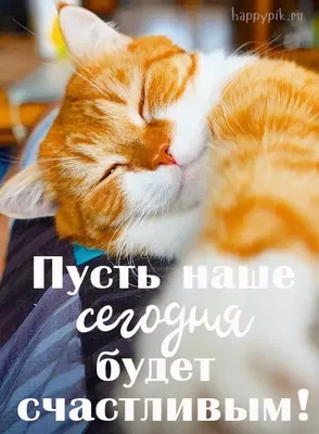 Доброе утро. Смешной кот с чашками кофе Векторное изображение ©ikopylove  77109793