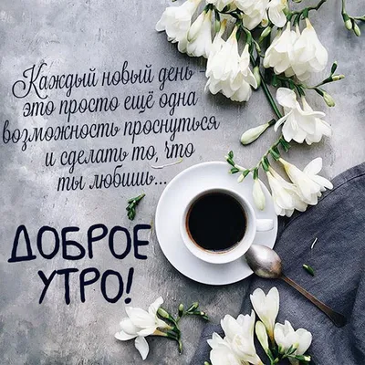 С добрым утром!#видеооткрытка #открыткасдобрымутром#открытка #рекоменд... |  TikTok