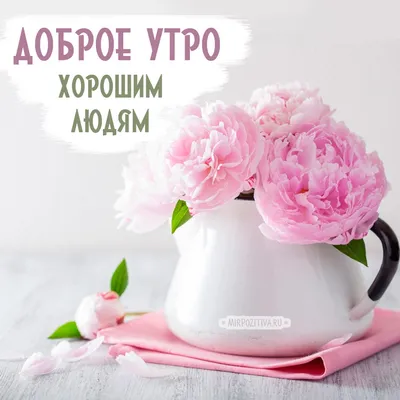 💗☕️🌷Доброе Утро! Хорошего Дня! Заряд Позитива на Весь День!💞 - YouTube