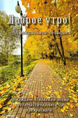 Доброе утро! Прекрасного сегодня! | Доброе утро, Удивительная природа, Осень