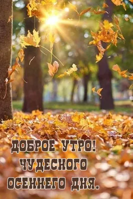 Осенние открытки \"Доброго утра!\" (437 шт.)