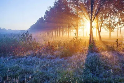 🎉🍁Доброе утро, друзья! 🍂🍂Осень — это время философов и мыслителей.  Ничто так наглядно не говорит.. | ВКонтакте