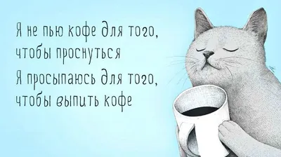 Прикольные картинки \"Доброе утро\" 👍 😄 (304 шт.) | Юмор о настроении,  Надписи, Доброе утро