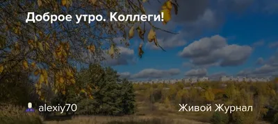 Доброе утро. Коллеги!