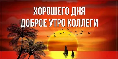 Доброе утро, коллеги | Мир@вокруг | Дзен