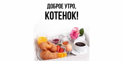 Открытка для любимых и родных Котенок Доброе утро. Открытки на каждый день  с пожеланиями для родственников.