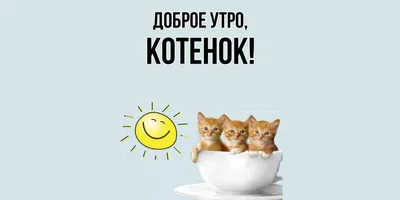 Открытка для любимых и родных Котенок Доброе утро. Открытки на каждый день  с пожеланиями для родственников.