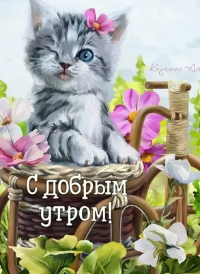 кошка котенок держит чашку кофе сердце. доброе утро. грустное ворчливое  плохое эмоционное лицо. милый персонаж мультфильма китти. Иллюстрация  вектора - иллюстрации насчитывающей икона, день: 222052558