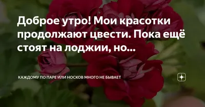 alishop_bc - Красотки 💚доброе утро!!Мы думаем про вас... | Facebook