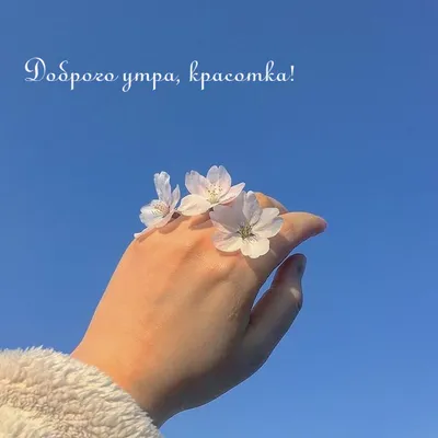 доброе утро красавице｜TikTok 검색