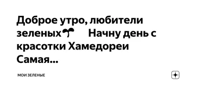 Доброе утро, красотки😍Хорошего дня и прекрасного настроения❤️ 🙌🏼Ждём  вас: 🔸Мужская коллекция @trendshop_men_omsk 🤴🏻 🔹МФК… | Instagram