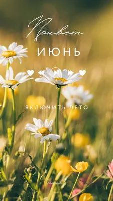 ДОБРОЕ УТРО! 🍃🌻🦋💐🦋🌻🌿 ЛЕТО! | Доброе утро, Смешные высказывания,  Позитивные цитаты