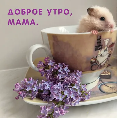 ValentinKa (@valja144)'s videos with оригинальный звук - Serge Serge |  TikTok