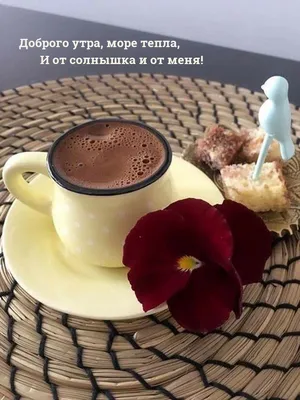 🌹С Добрым Утром! 🌹Желаю Море Счастья! Сергей Чекалин! Музыкальная  Открытка Пожелание! - YouTube