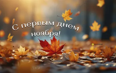 𝑺𝑽𝑬𝑻𝑰𝑲 - 🍂🍁🍂🍂ЗДРАВСТВУЙ НОЯБРЬ🍂🍁🍂🍁 С ДОБРЫМ УТРОМ, С ДОБРЫМ  МЕСЯЦЕМ НОЯБРЯ ! ПУСТЬ ВАМ ЭТОТ МЕСЯЦ ПРИНЕСЁТ ЗДОРОВЬЯ, СЧАСТЬЯ И ЛЮБВИ !  ЖЕЛАЮ ВАМ ПОБОЛЬШЕ НОВЫХ УДАЧ В ЖИЗНИ, УСПЕХА В ТРУДЕ ,