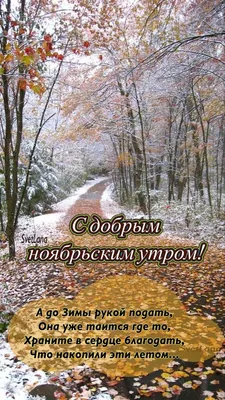 Доброе утро /Good morning - GIF АНИМАЦИЯ - Страна красоты Gif | Розовые  цветочные композиции, Доброе утро, Ноябрь