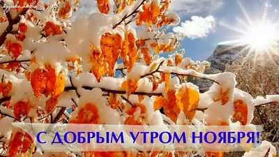 📎23▫🌞С добрым утром ноября | Ромашки, Буженина, Доброе утро