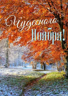 Картинки \"С Добрым Утром Ноября!\" (76 шт.)