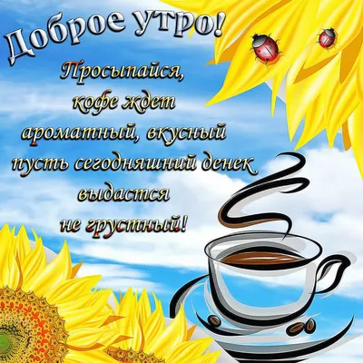 С добрым утром! ☕🍰 Пусть день принесёт множество маленьких и больших  приятных сюрпризов, ☀ долгожданные и.. | ВКонтакте