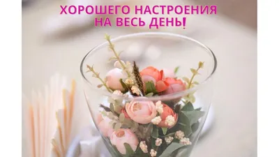 Шуточная картинка с добрым утром - GreetCard.ru