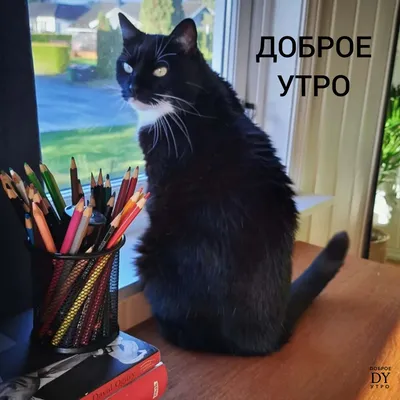 Только \"Доброе утро! \" | Христианские открытки | Дзен