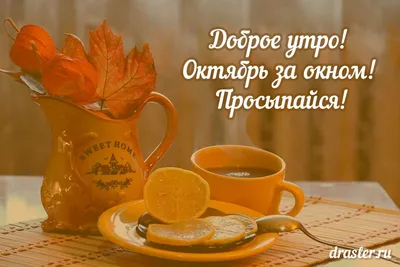 всё обо всём - - Доброе утро! - Ещё денёк, друзья – Октябрь! Уж, на пороге  - старший брат, Спешит, торопится Ноябрь, Сменить братишку очень рад! Ну,  что поделать? Да, уходит, Несётся