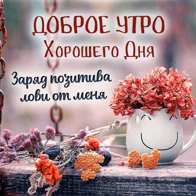 🌺🌿 ЯГОДКИ, ДОБРОЕ УТРО, ОТЛИЧНОГО ДНЯ! 🌿🌺 Доброе утро всем, кто  проснулся, Всем, кто родным своим.. | ВКонтакте